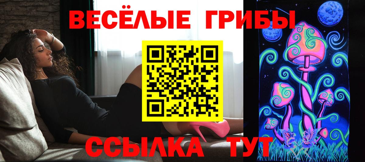 Псилоцибиновые грибы мицелий  Псилоцибиновые грибы Cubensis  Краснодар  Вход с VPN 