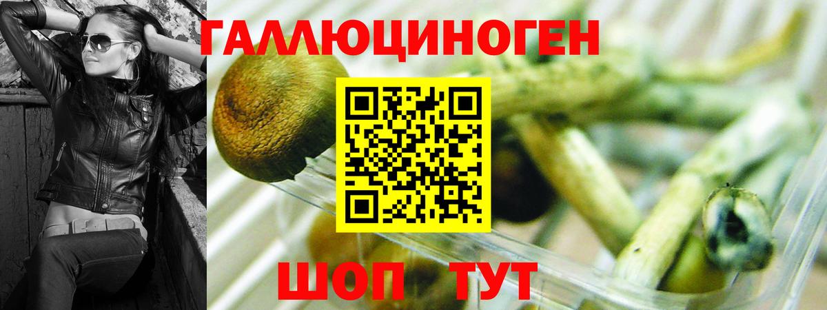Псилоцибиновые грибы GOLDEN TEACHER Краснодар